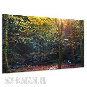 Obraz na płótnie Jesienny Las 120x80 cm - pejzaż