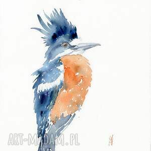akwarela oryginalna rybaczek ptak, zimorodek, natura dekoracje do domu