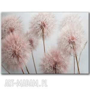 Obraz na płótnie - 100x70 cm Dmuchawce (1 0651)