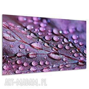 Obraz na płótnie 120x80 - fioletowy liść i krople rosy