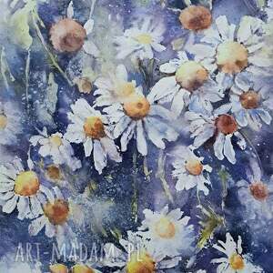 Oryginalna akwarela z rumiankami 26x36 cm