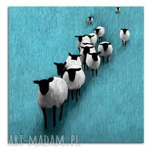 obraz do salonu drukowany na płótnie owce wypasie 02667 owcami