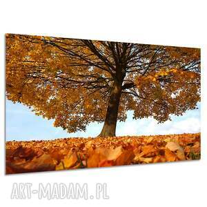 Obraz na płótnie Jesienne drzewo - klon 120x80 cm