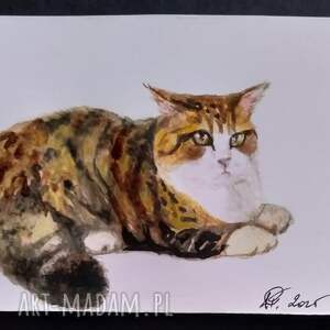 Puchaty kot, akwarela