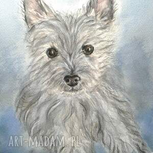 malowane molo west highland white terrier - akwarela, piesek, obrazy pies