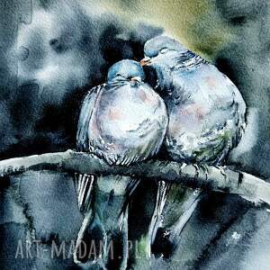 zakochany, gołębie, ptaki, przytulony