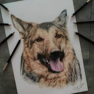 realistyczny portret psa kota na zamówienie ze zdjęcia, pamiatka pupil