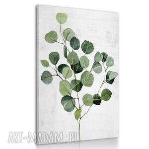obraz drukowany na płótnie roslina eukaliptus 70x100cm 03102