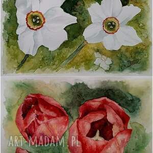 wspomnienia minionej wiosny, 2 akwarele A4, kwiaty narcyzy, tulipany