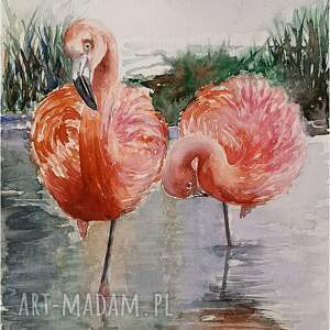 flamingi, akwarela 24 x 32 cm ptaki