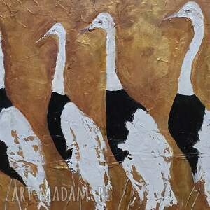 attitude krajobrazy, obrazy, zwierzeta obraz ptak, przyroda ptaki