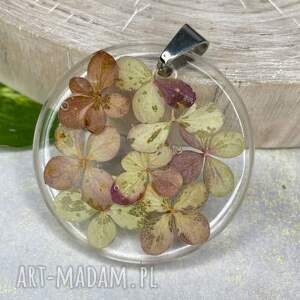 herbarium jewelry okrągły wisiorek z jesienną hortensją z1805 lato