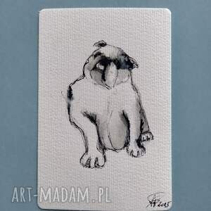 buldog, psy, grafika, malarstwo akwarelowe