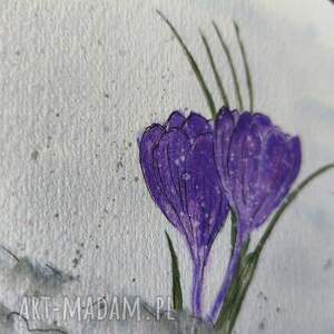 Akwarele WIOSNA marzec krokusy śnieg obraz mróz prezent srebro 15x21