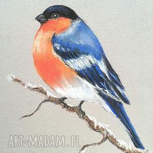 gil - pastela, wielkanoc ptaki wiosna