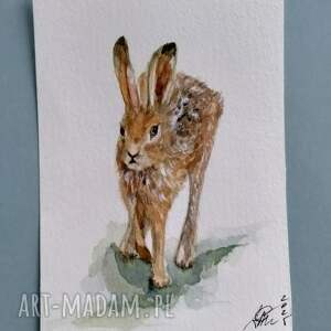 Zajac. Akwarela, jesienna ilustracja