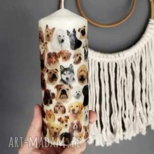 dekoracyjna psy, świeca ozdobna, dekoracje, prezent