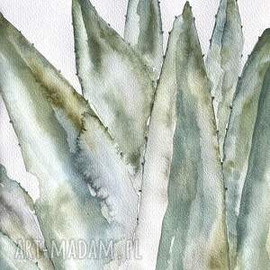 Aloes A4- obraz liście, akwarela natura