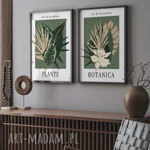 zestaw plakatów botanicznych - 40x50 cm gc 21 1152 1150, plakaty