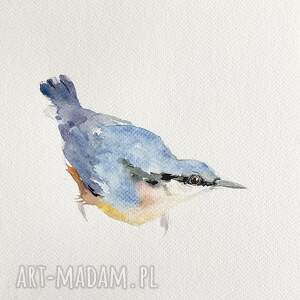 akwarela kowalik ptaki malarstwo, papier przyroda zwierzęta