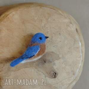 Błękitnik rudogardły, broszka filcowana