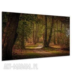 Obraz na płótnie Las 120x80 cm - leśna alejka