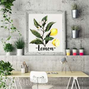 plakaty plakat lemon b2