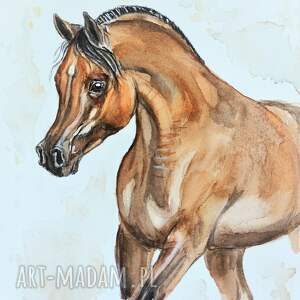 koń arabski - akwarela, obraz koń, obrazy, konie