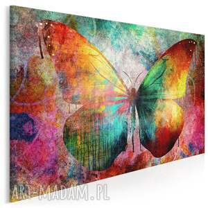 obraz na płótnie - motyl kolorowy barwny 70x50 cm 59801 stylu grunge