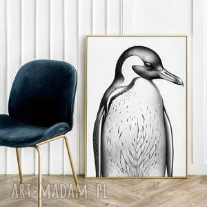 plakat pingwin vintage czarno-biały - format 50x70 cm