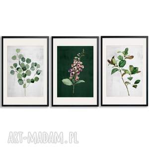 plakaty postery akwarelowe roślinki 3częsci 30x40cm 03106_p eukaliptus
