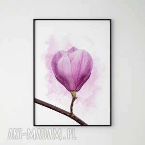 plakat obraz magnolia 50x70 cm B2, grafika