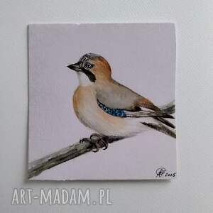 Elegancka sójka. Akwarela, ptaki