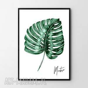 plakat obraz monstera A3 - 29 7x42 0cm kwiaty, lato