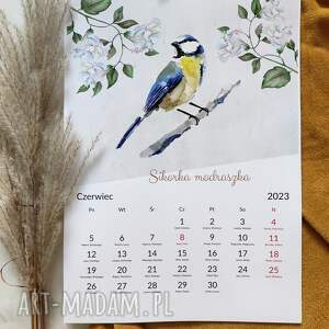 święta, kalendarz z ptaszkami, akwarela, dekoracja ścianę domu, ptak