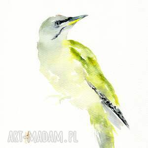 Prezent Oryginalna. Dzięcioł zielonosiwy, ptaki, akwarela