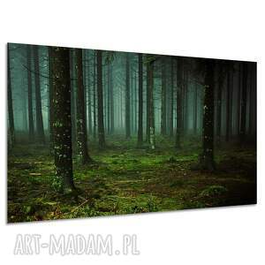 Obraz na płótnie Zielony las we mgle 120x80 cm