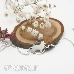 bransoletka lessi owczarek collie piesek, pies, natura przyroda