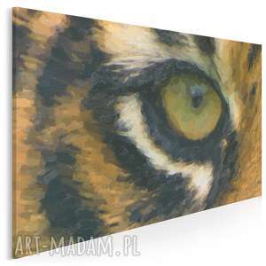 obraz na płótnie - tygrys oko 120x80 cm 33001 dziki zwierzę