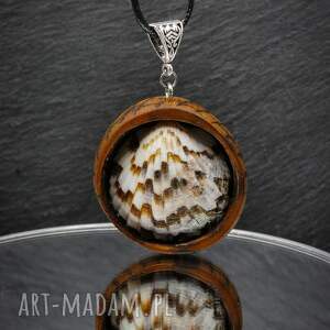 wisiorek muszla morska - brzoza, drewno, pirografia, prezent niej
