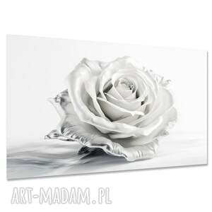 Obraz Kwiaty 38 - biało-szara róża 120x80 w stylu loft