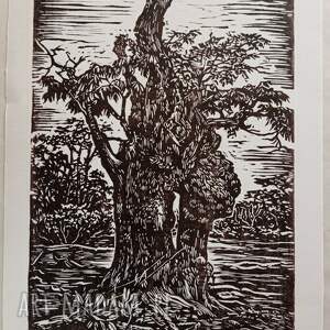 linoryt na bagnach grafika, obrazek