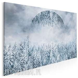 obraz na płótnie - góry las zima - 120x80 cm (33101)
