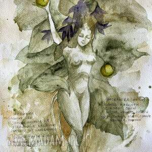 "mandragora żeńska z opisem" akwarela artystki adriany laube - magiczna