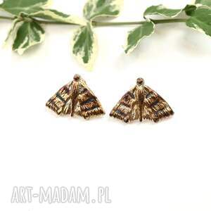 Prezent Kolczyki srebrne z Ćmami na sztyftach brązowe