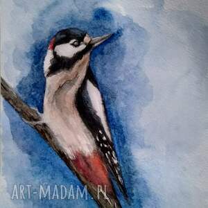 dzięcioł, ptaki, akwarela