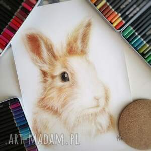 rysunek kredkami królik, portret zwierzaka gabinet weterynaryjny, prezent