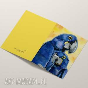 dom kartka okolicznościowa, na urodziny z papugami