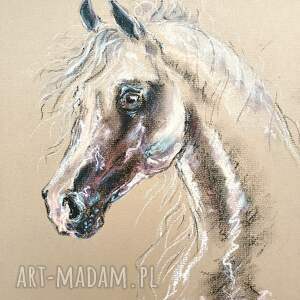 obraz - koń arabski, pastela