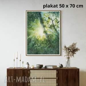 Plakat 50x70 cm Promienie słońca w lesie - akwarela